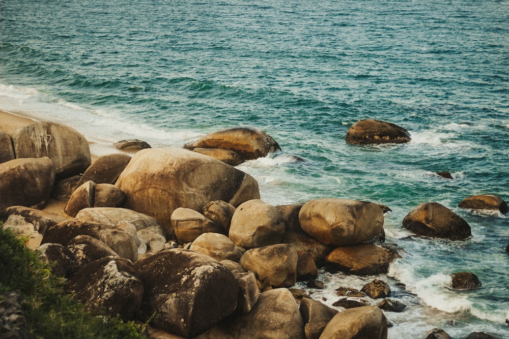 brown rocks on sea shore during daytime