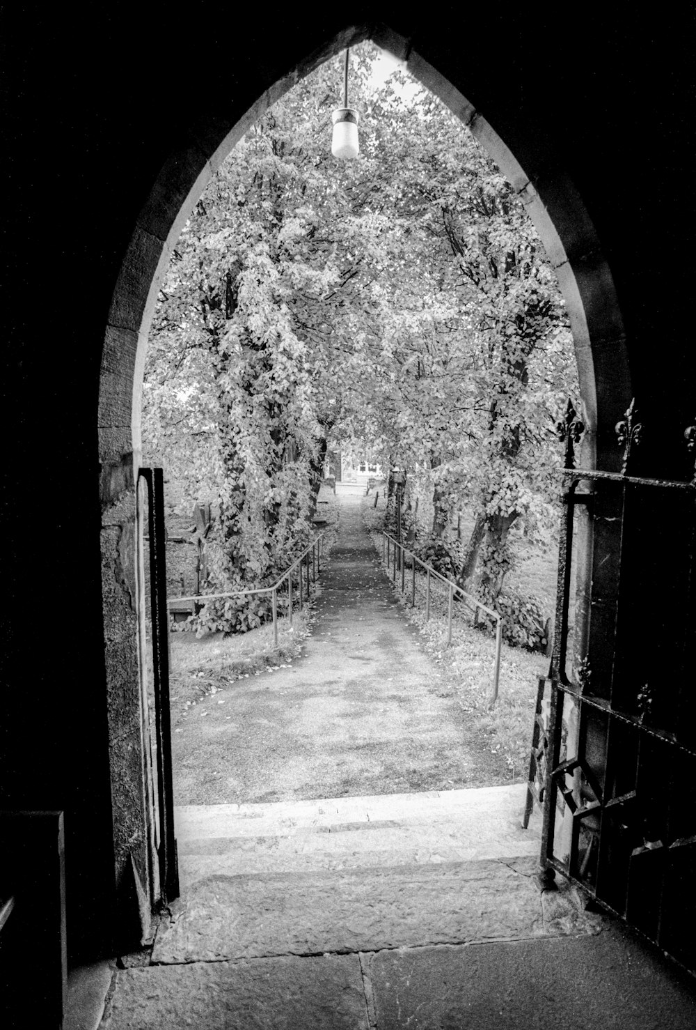 grayscale photo of pathway in between metal gate