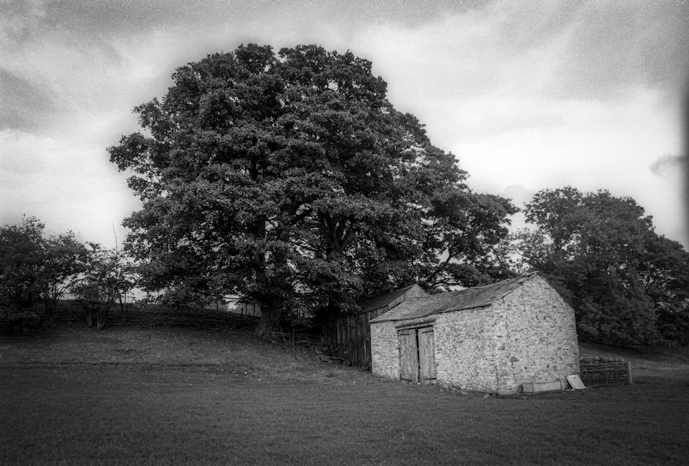 grayscale photo of house near trees