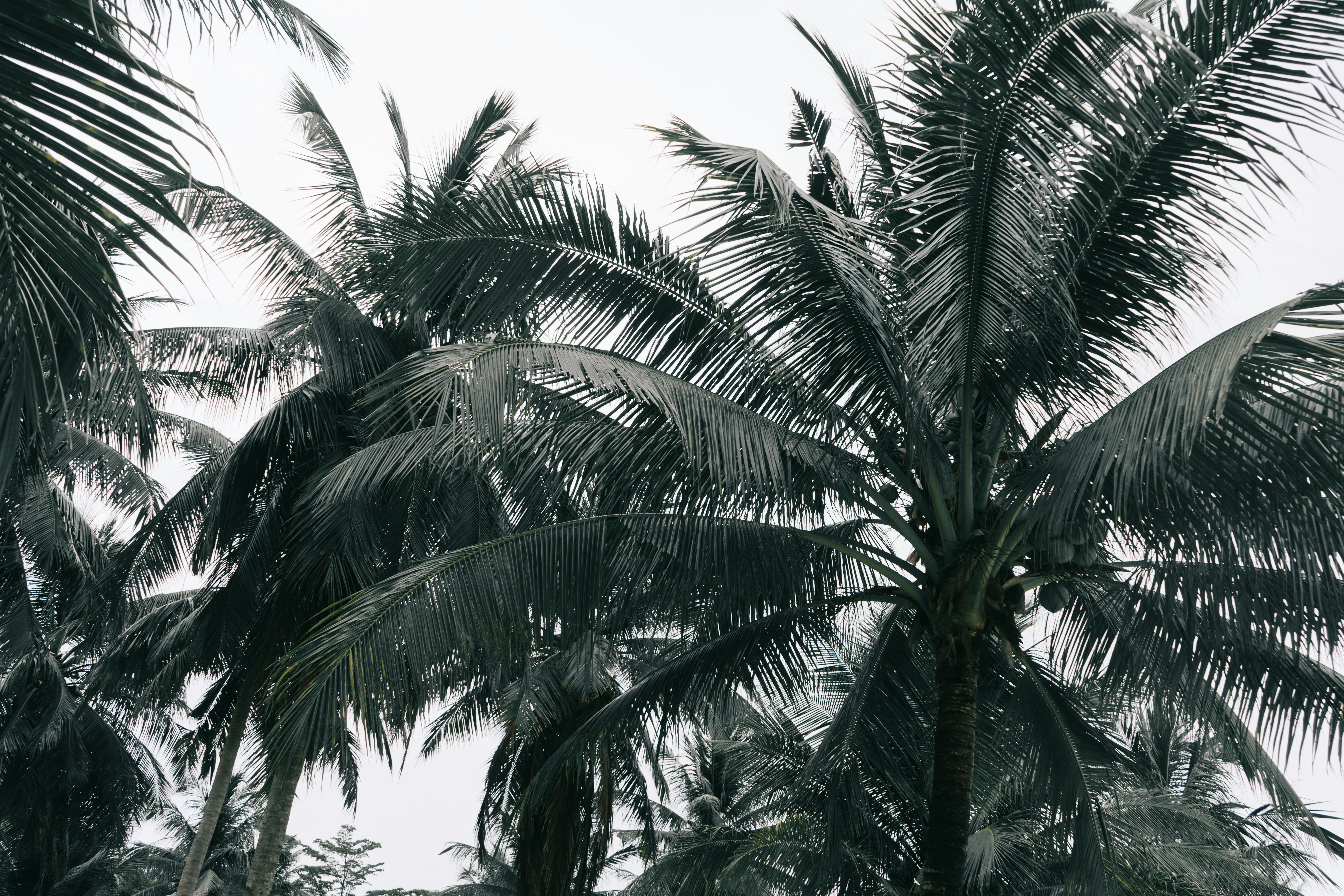 Photo by nicolasjleclercq