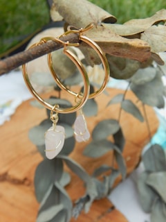 An artistic shot of earrings hanging on a delicate branch.