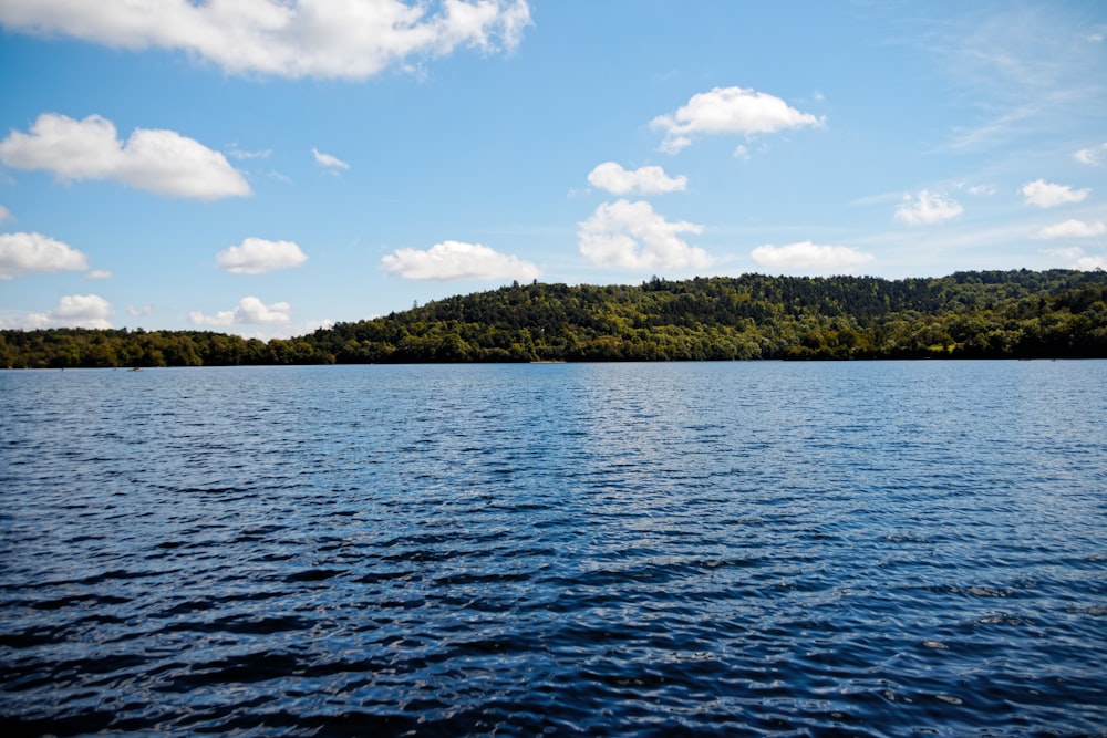 green trees beside body of water under blue sky and white clouds during daytime