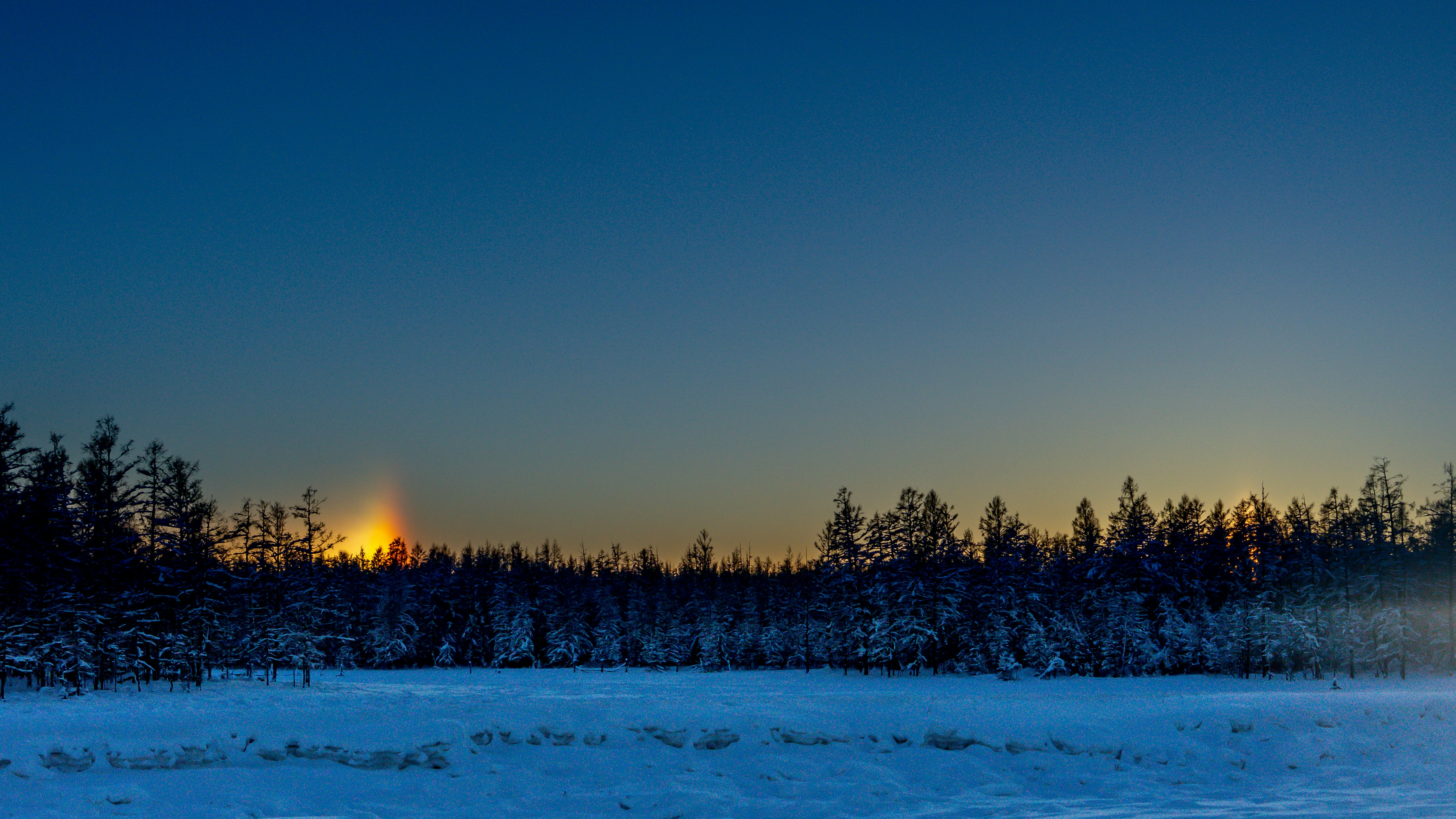 trees on snow covered ground during sunset
