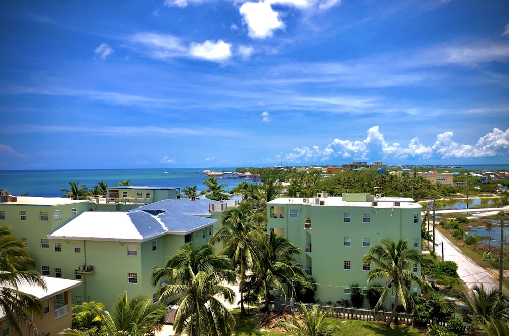 white concrete building near green palm trees under blue sky during daytime