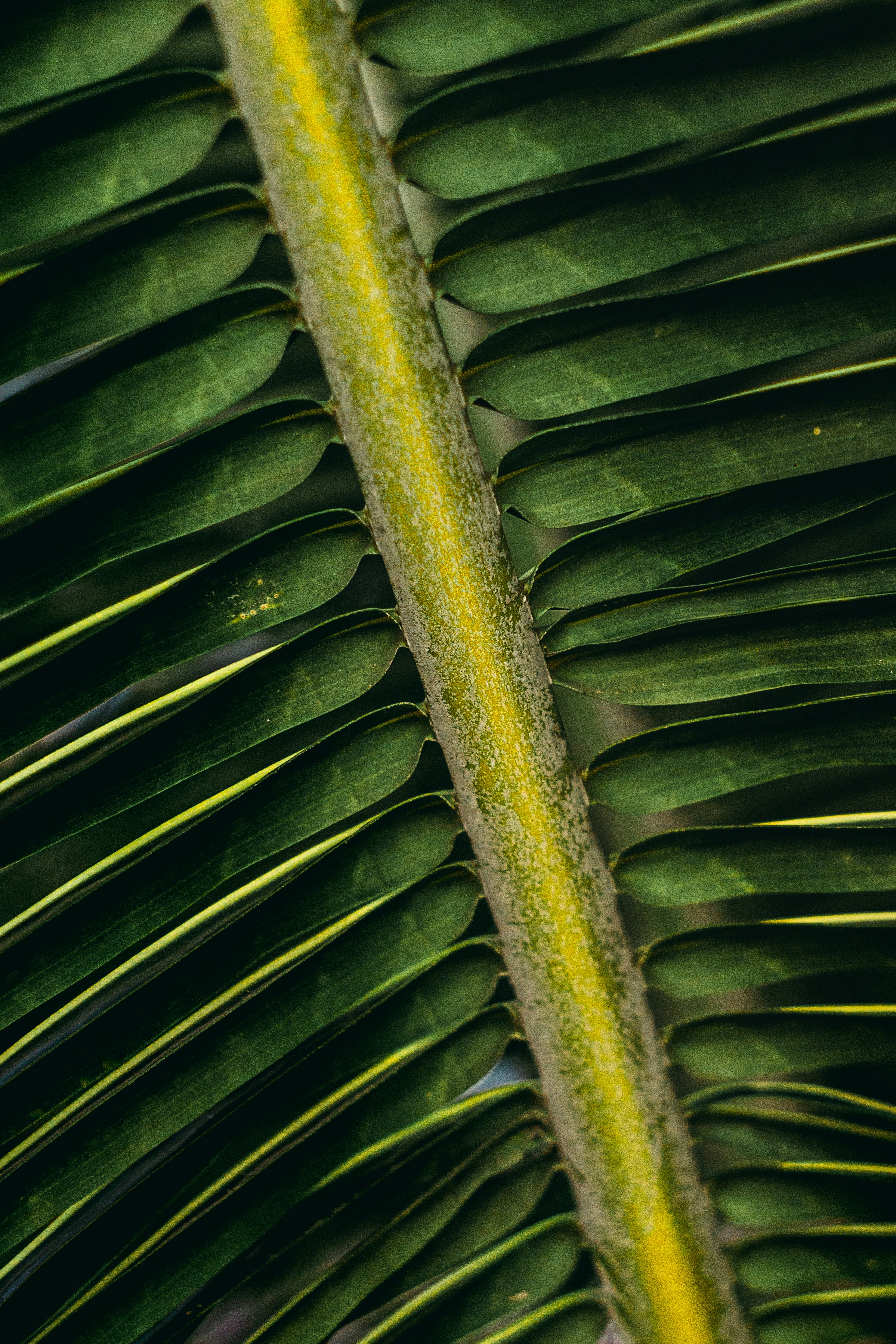 Photo by shirleymorgan