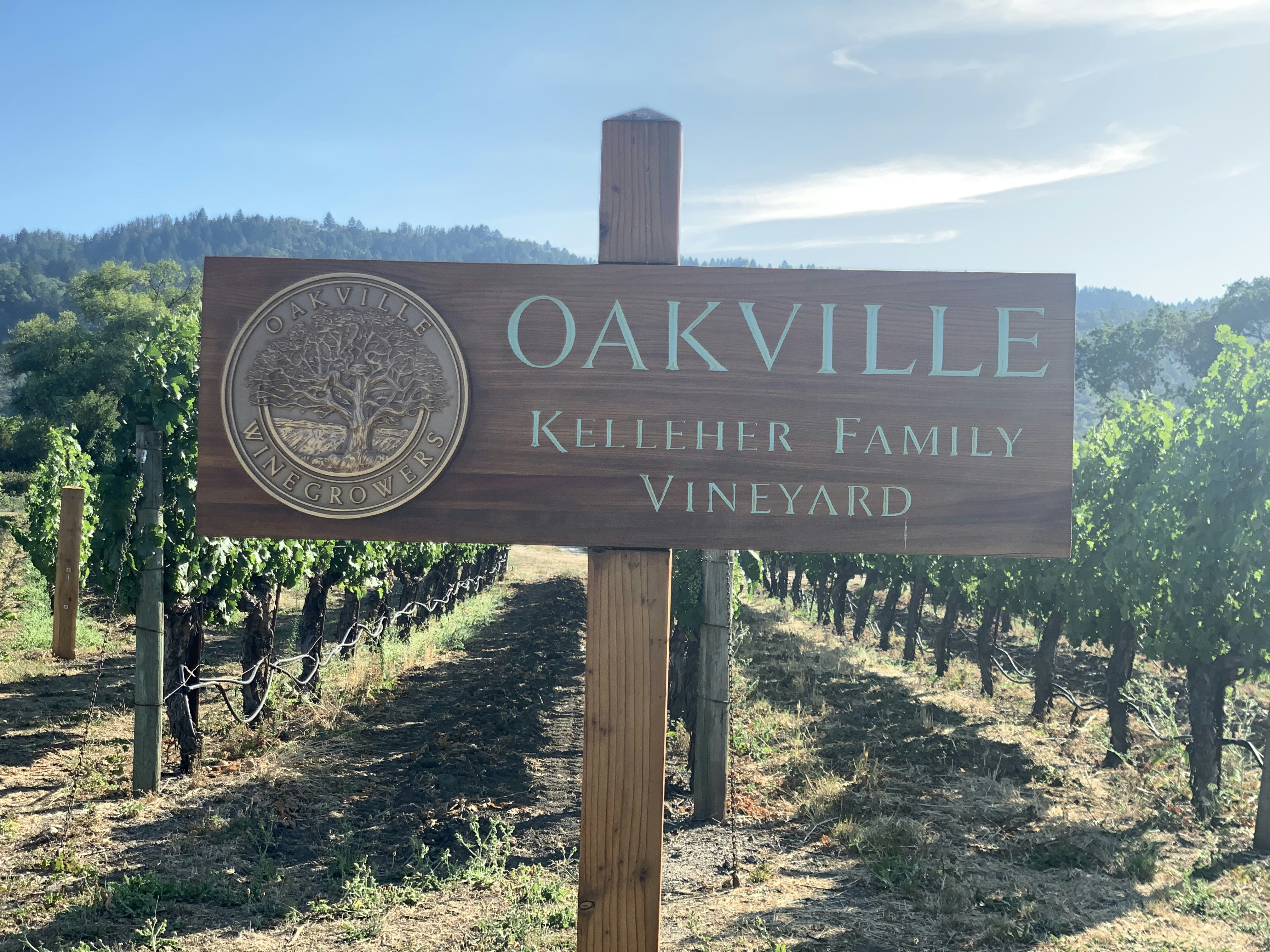 Oakville Cabernet Sauvignon vineyards.