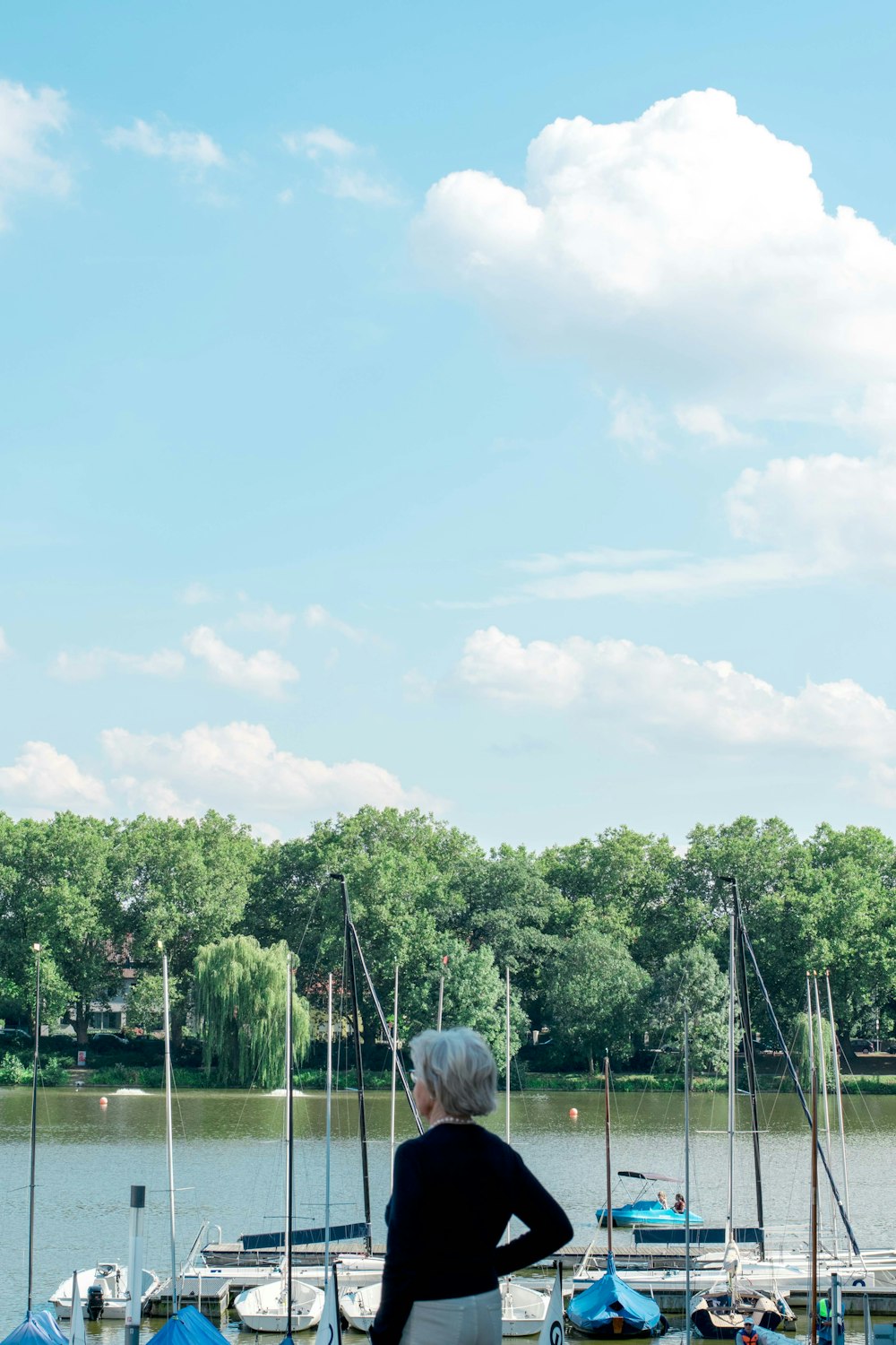 Arbres verts et champ d’herbe verte sous les nuages blancs et le ciel bleu pendant la journée