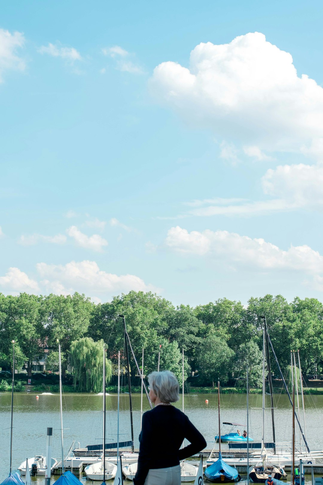 green trees and green grass field under white clouds and blue sky during daytime