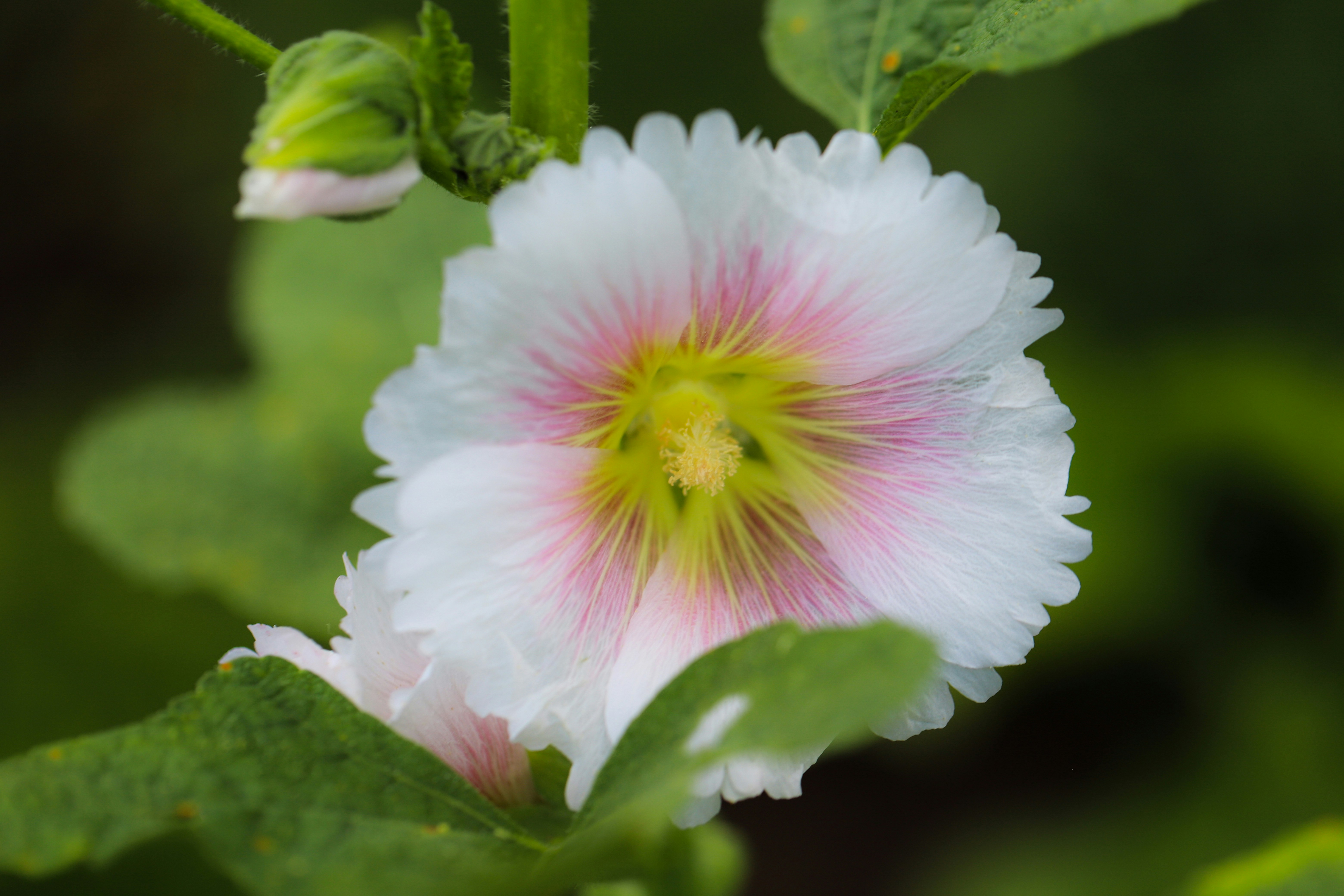 Photo by michaelbweidner