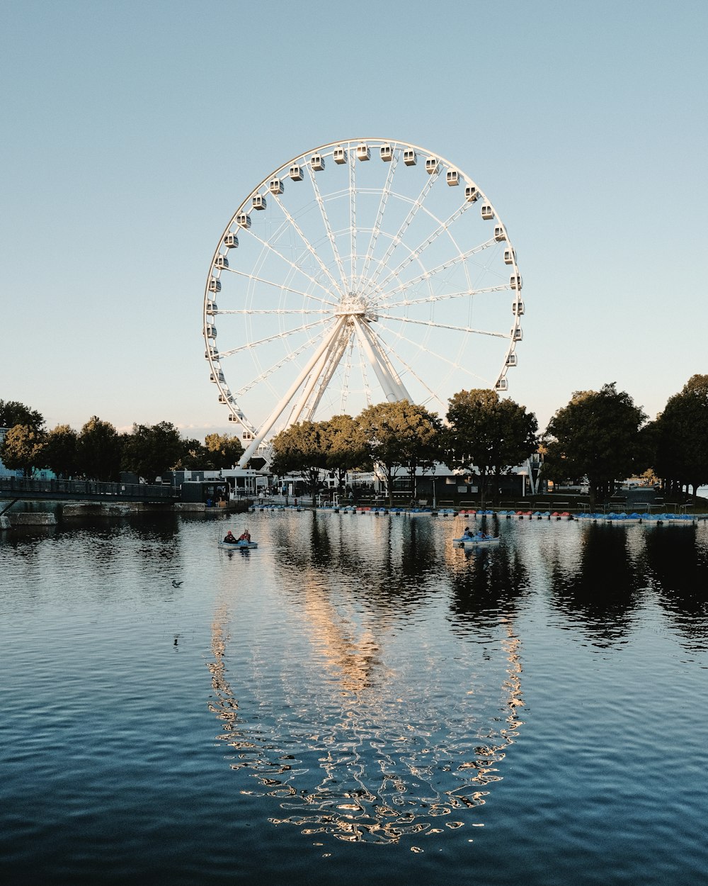 ferris wheel near body of water during daytime