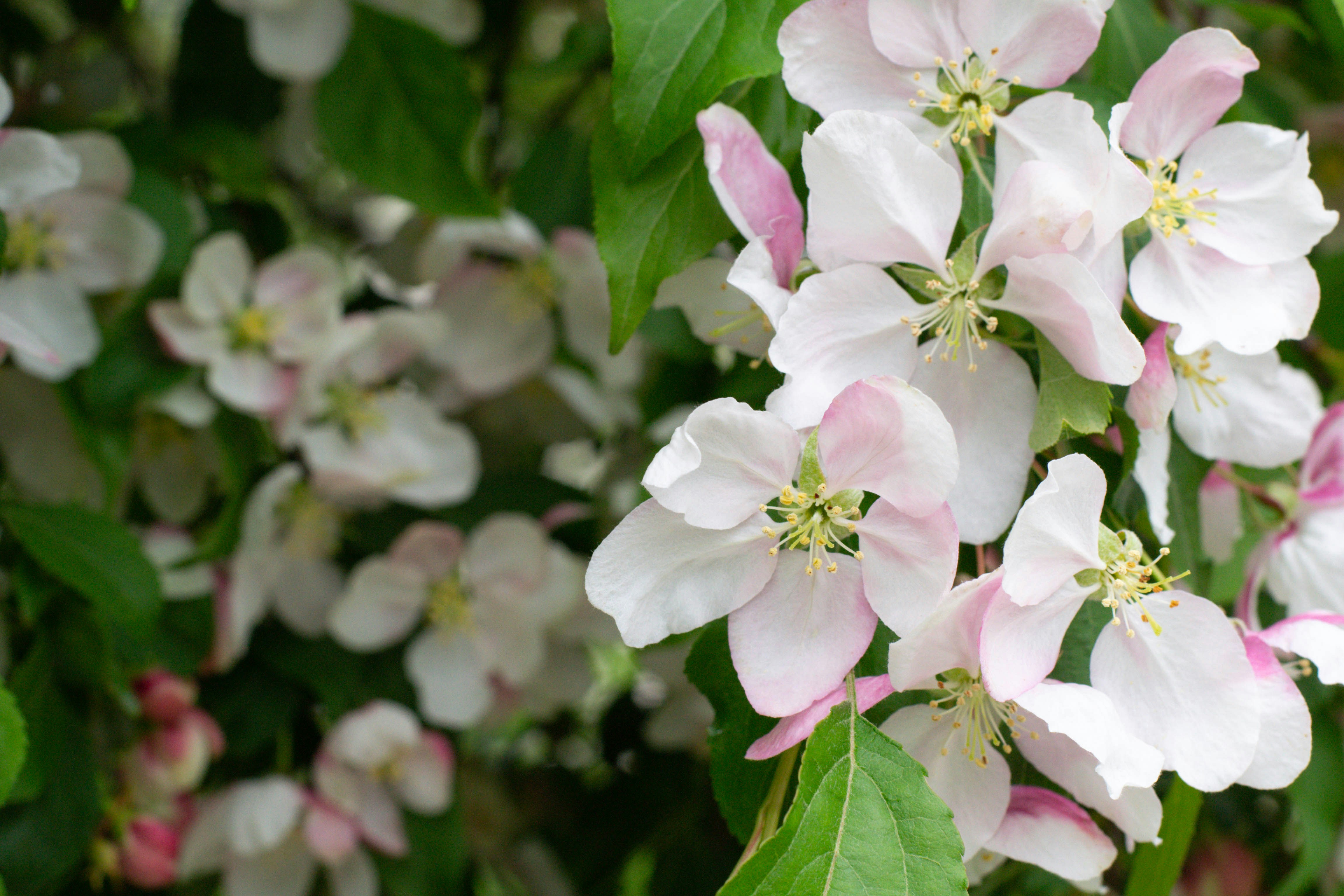 Photo by jordynalison