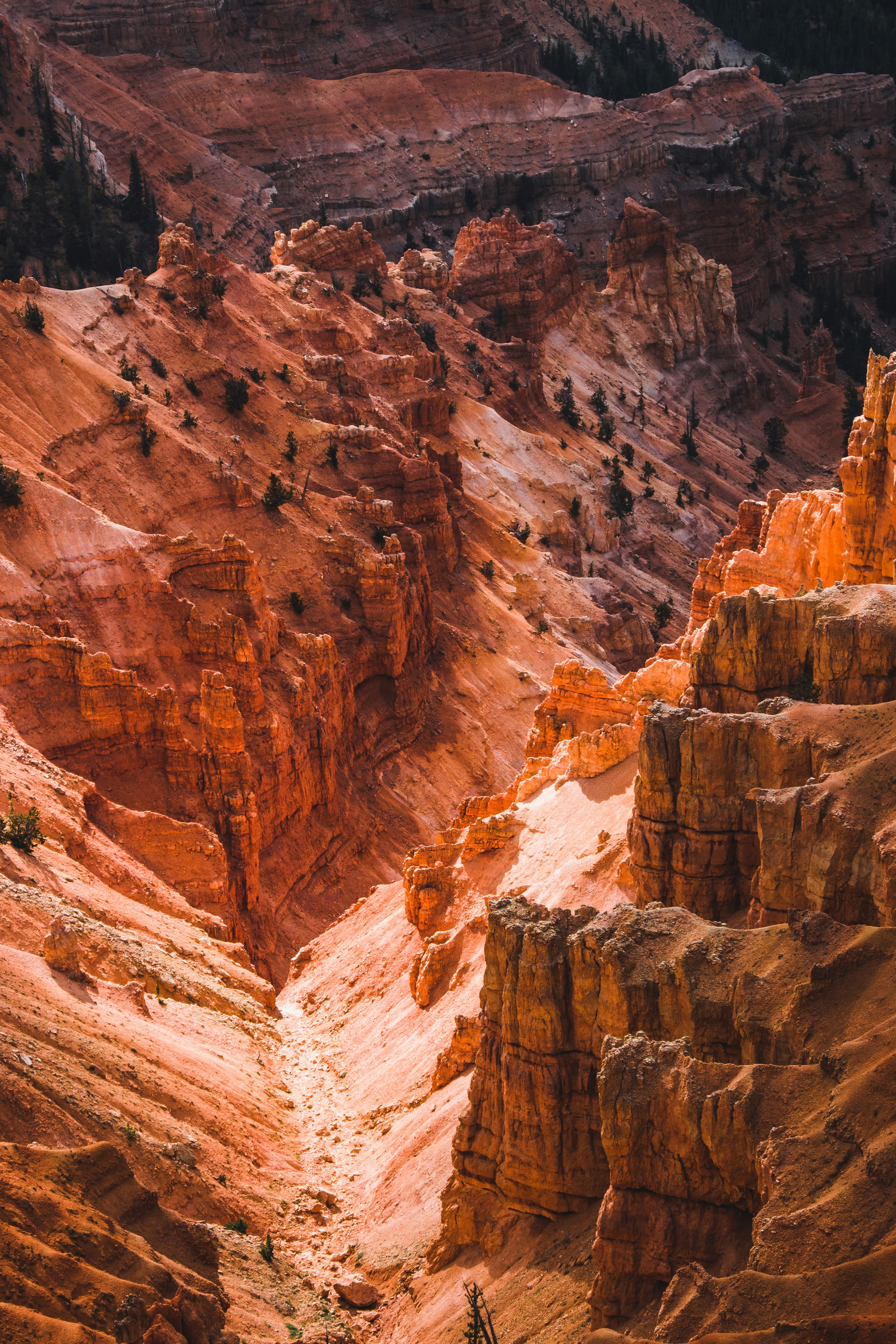 Photo by danielhombre19