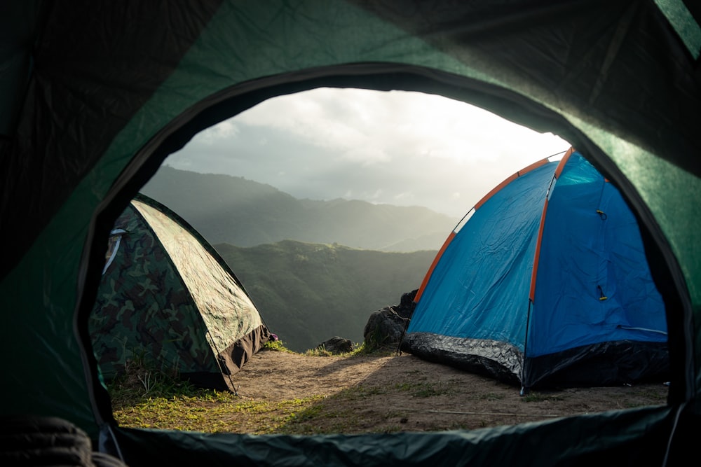 tenda azul e branca no campo de grama verde durante o dia