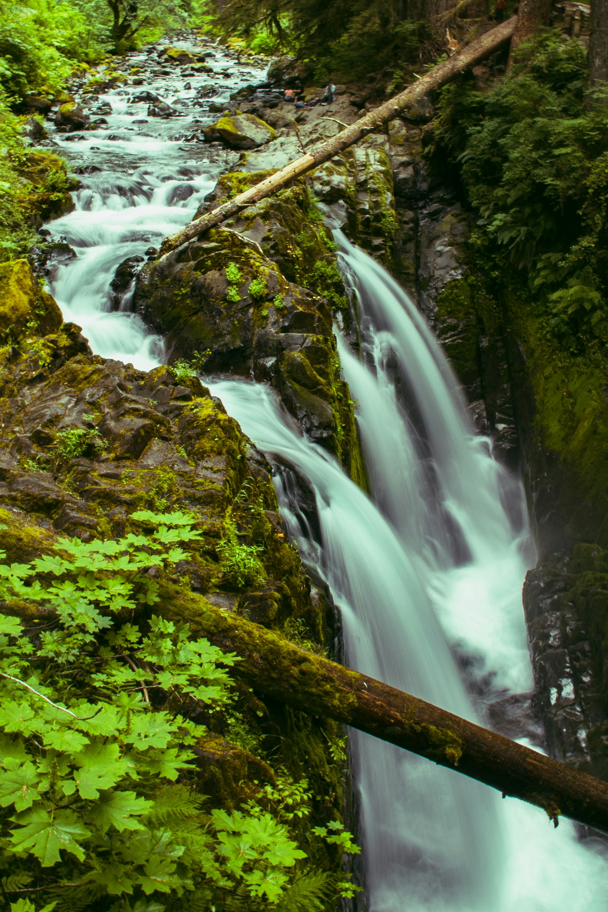 Photo by connerajordan