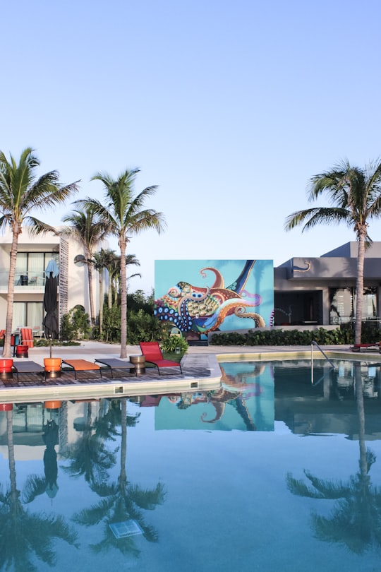 swimming pool near palm trees during daytime in Playa del Carmen Mexico