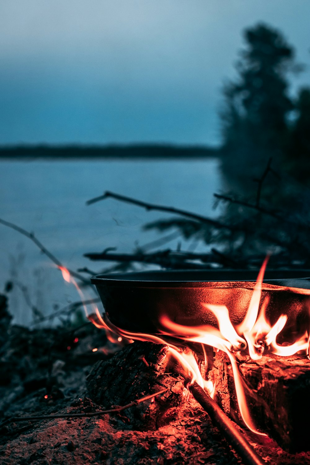 burning wood on fire pit