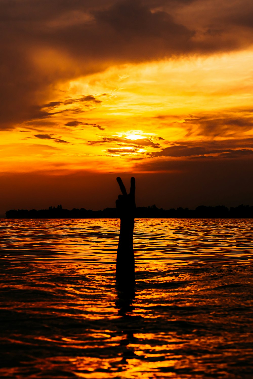 silhouette of person standing on tree trunk during sunset