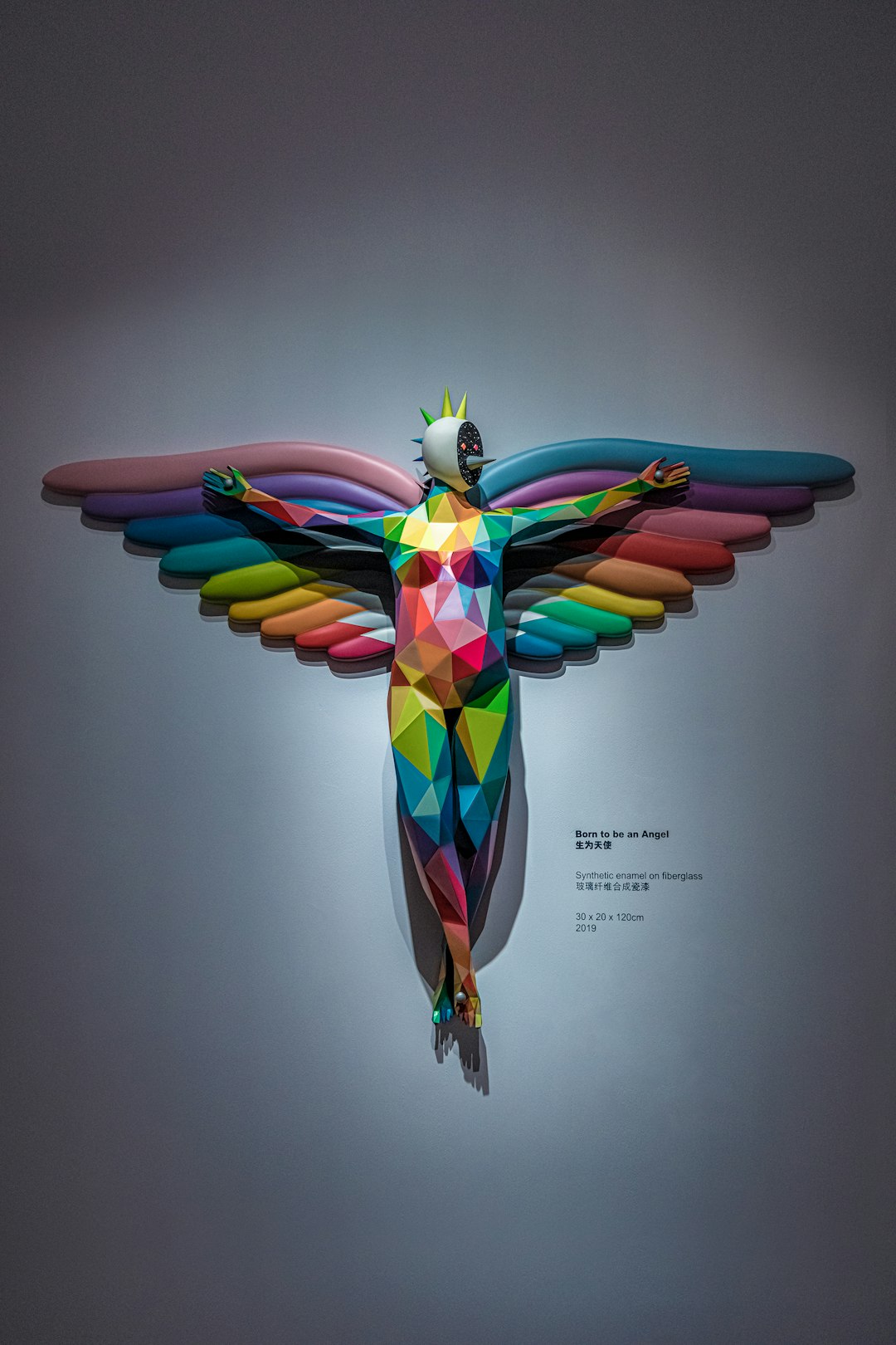 multi colored bird wings illustration