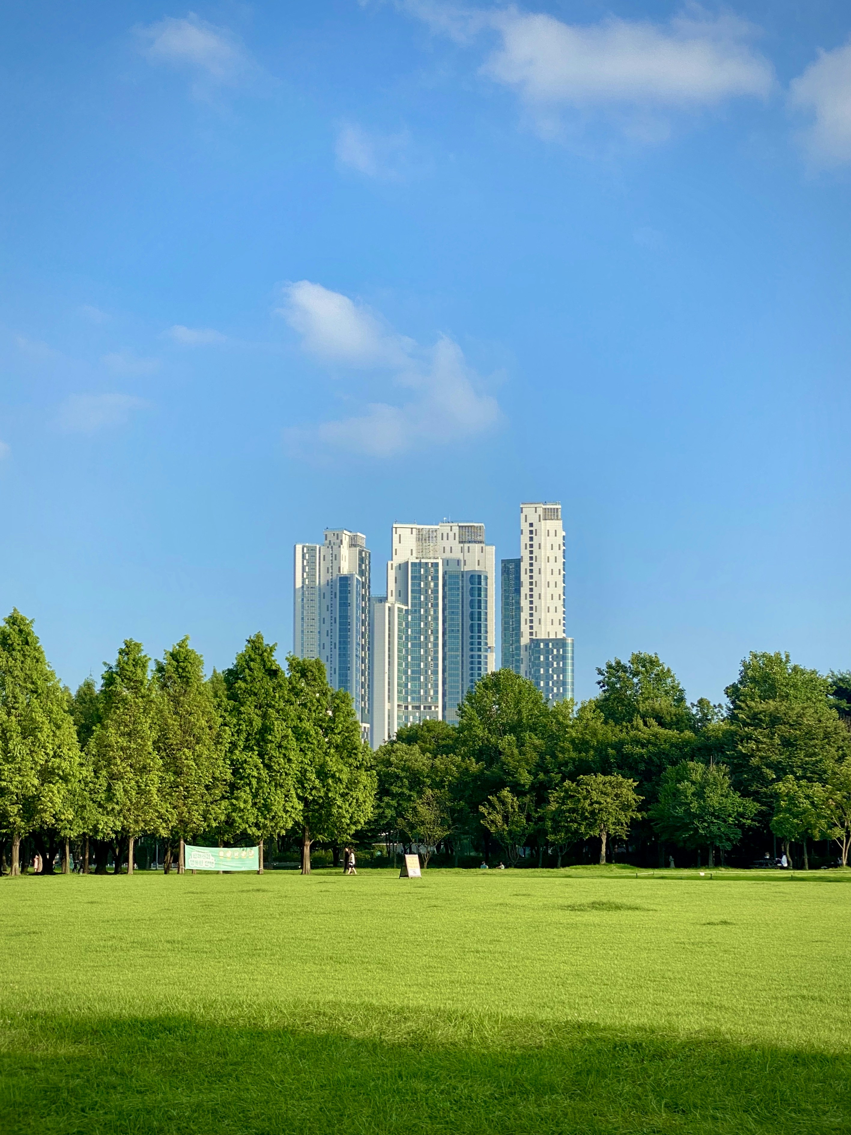 green grass field with trees and high rise buildings in distance