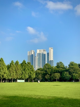 green grass field with trees and high rise buildings in distance