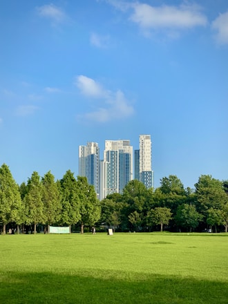 green grass field with trees and high rise buildings in distance