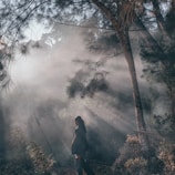 A cinematic frame of a model walking through a misty forest, light filtering softly.