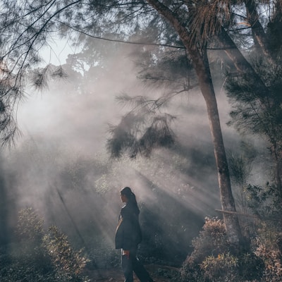 A cinematic frame capturing golden hour light filtering through a misty forest, highlighting a lone figure in motion.