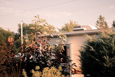 A sunlit caravan partially obscured by lush vegetation, featuring tall plants with dark reddish leaves in the foreground. The caravan has a small open window and an air vent on the roof. The background includes a glimpse of trees and utility poles against a clear sky.