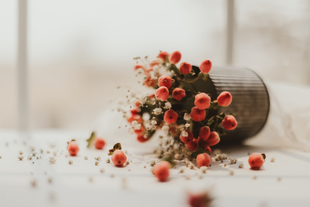 red round fruits on white table