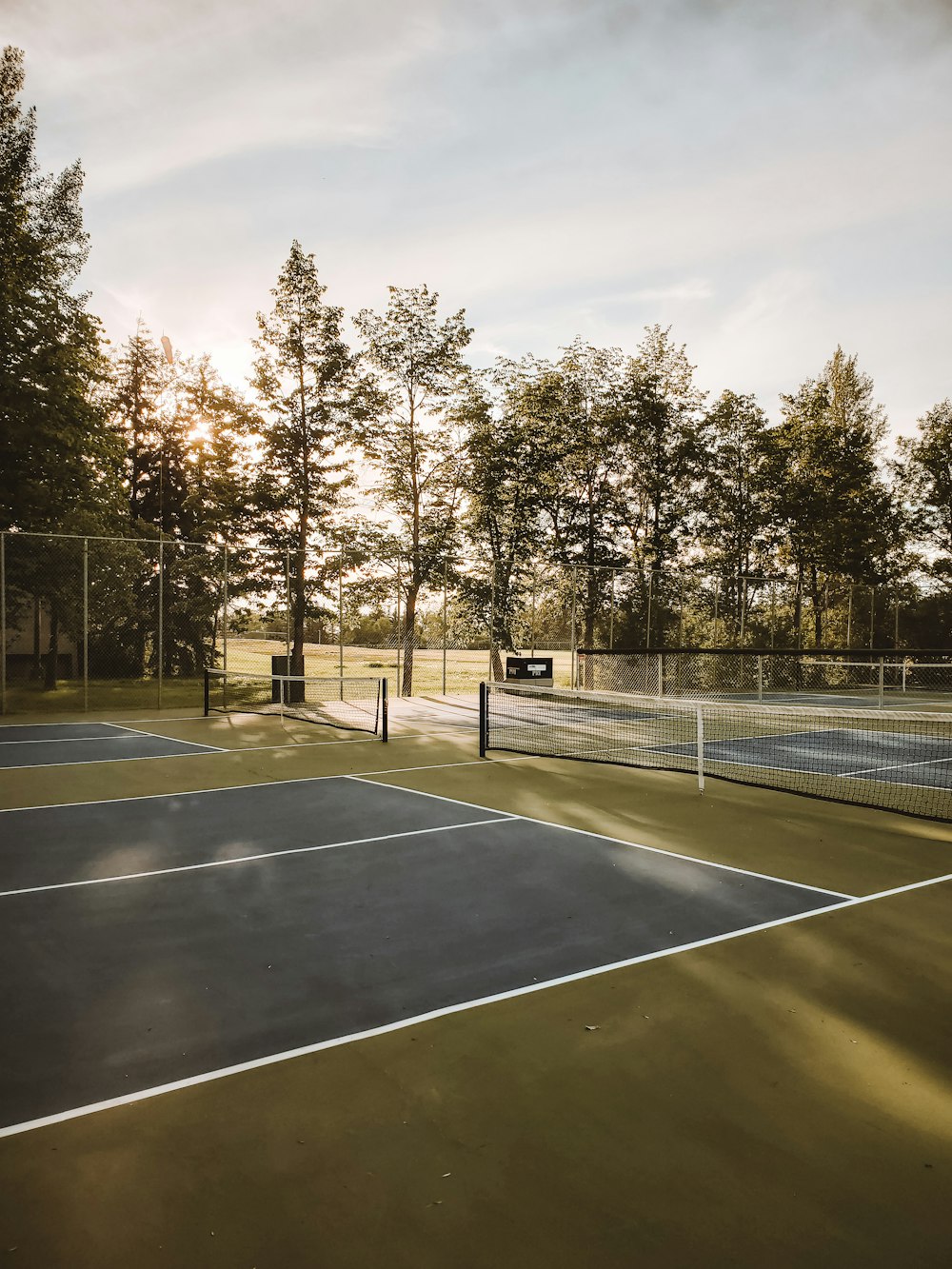 basketball court surrounded by trees