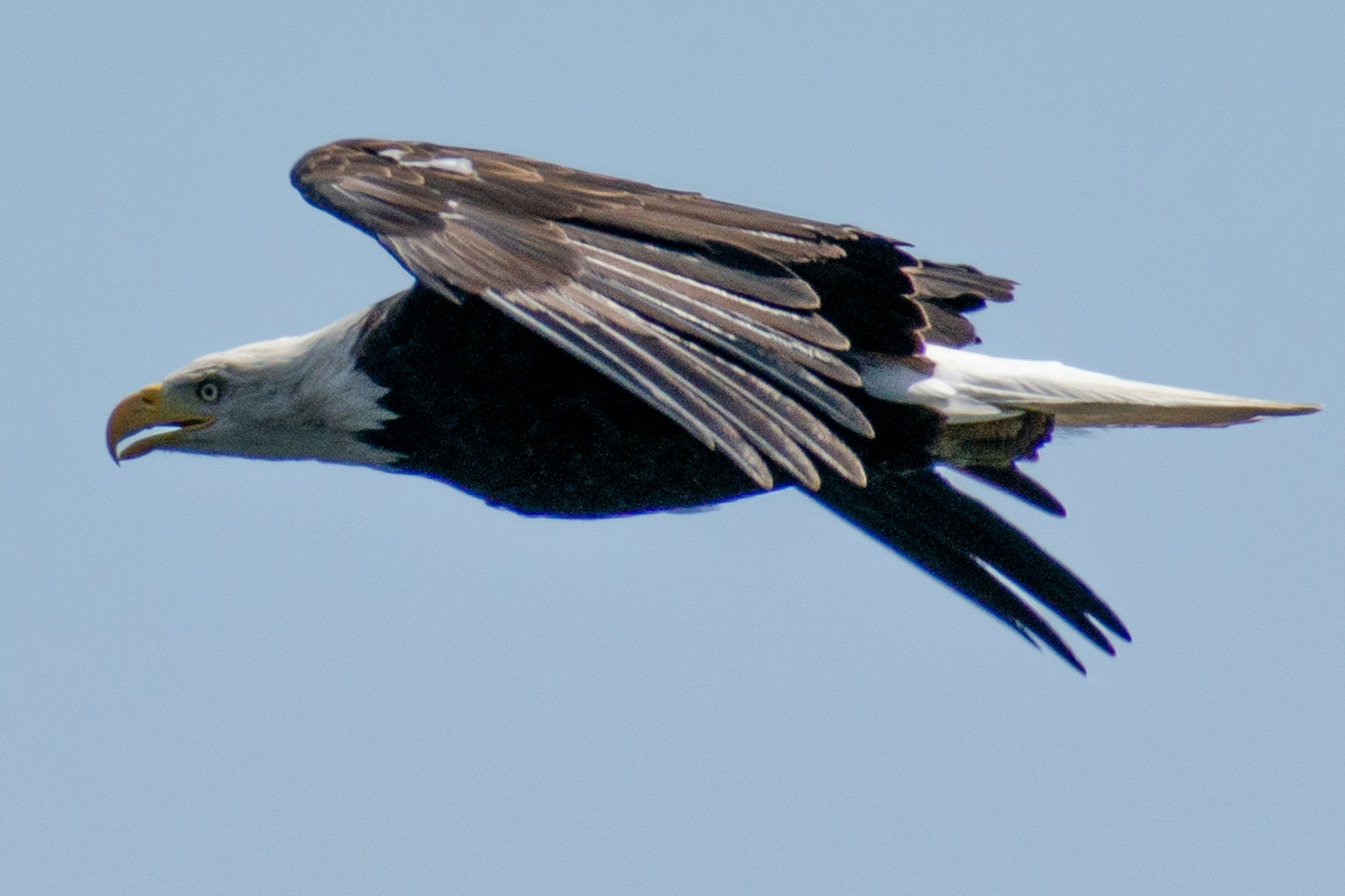 Photo by elisastonephotography