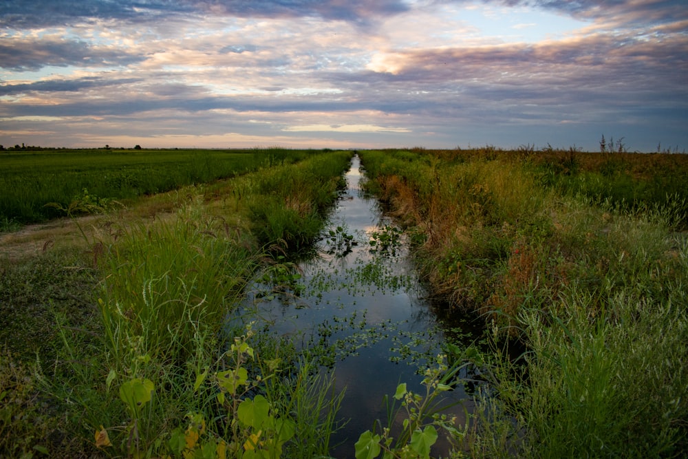 green grass field near river under cloudy sky during daytime