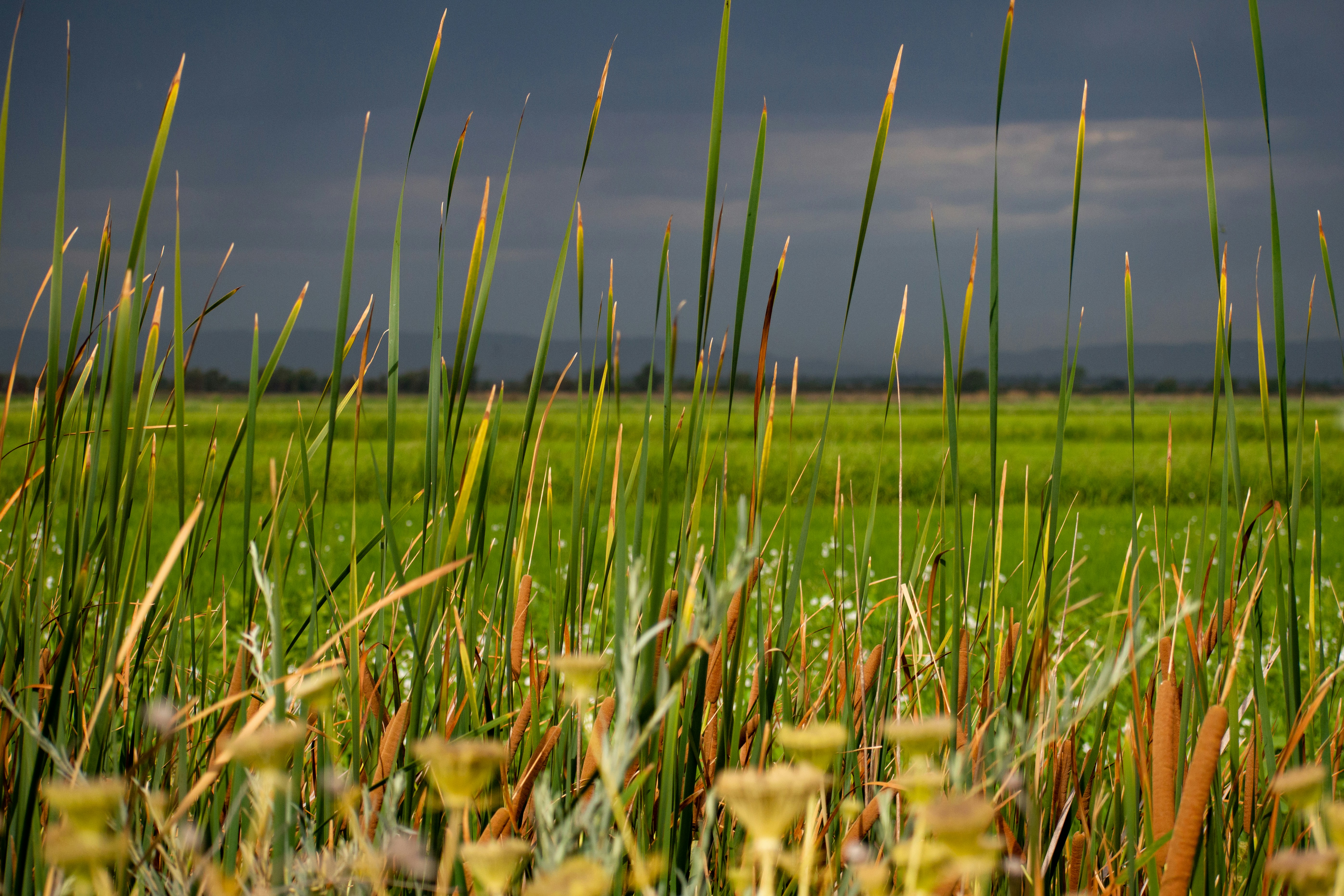 Photo by elisastonephotography