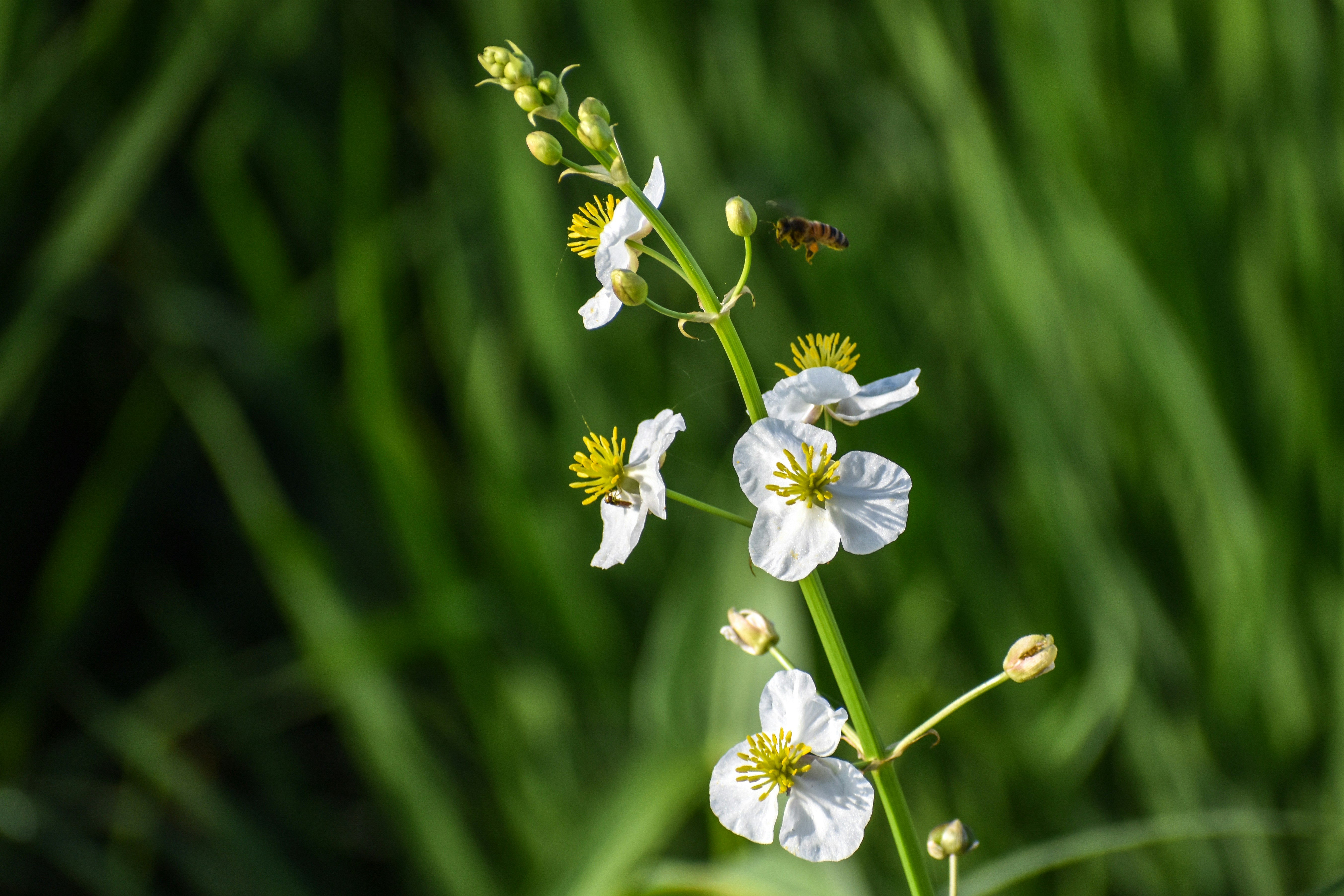 Photo by elisastonephotography