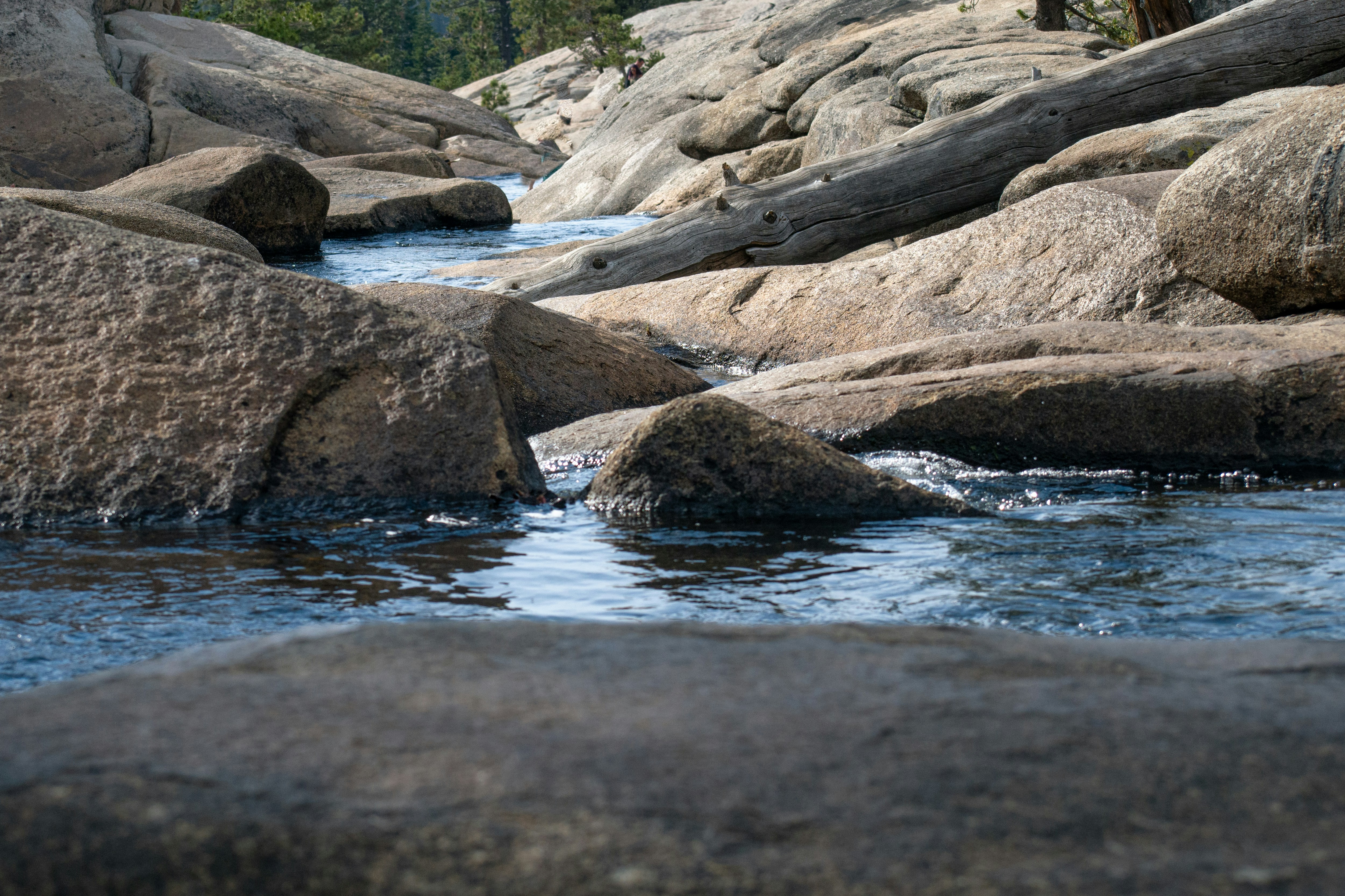 Photo by elisastonephotography