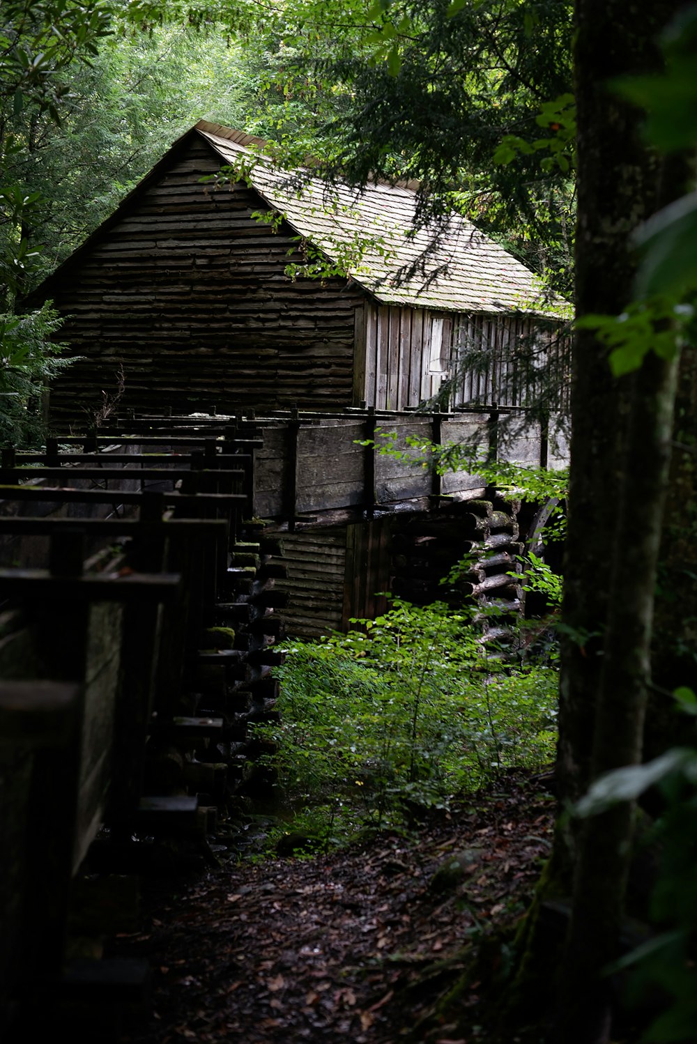 Braunes Holzhaus im Wald