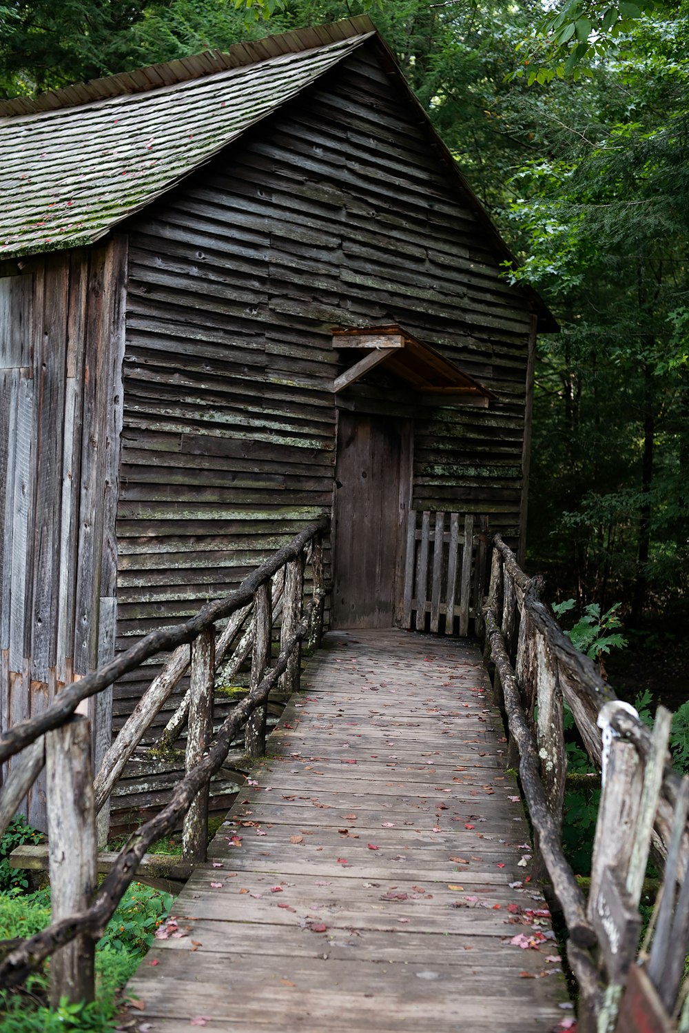a wooden bridge leading to a small cabin in the woods