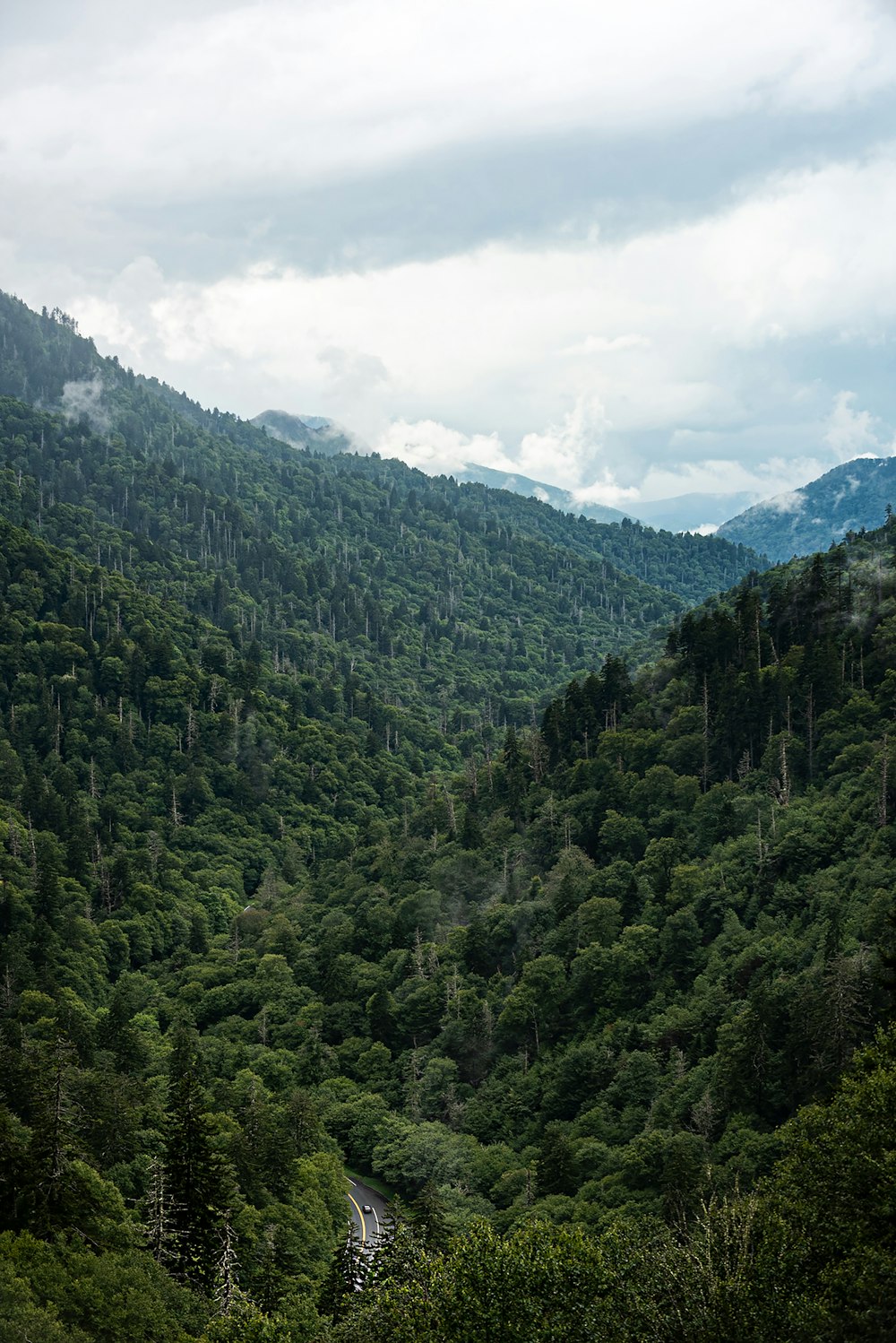 árboles verdes en la montaña bajo nubes blancas durante el día