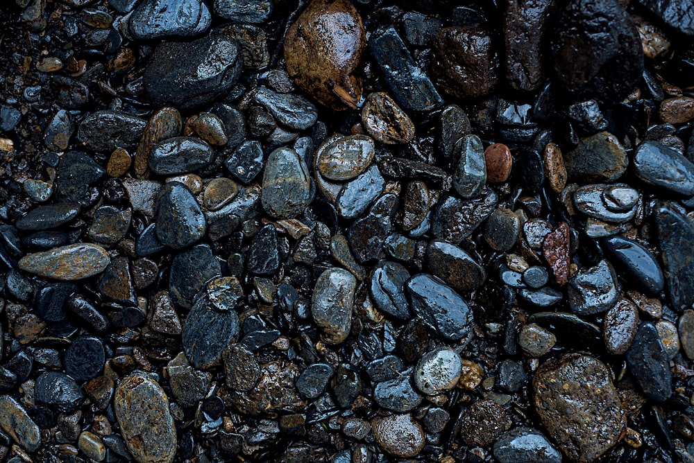 Graue und schwarze Steine auf dem Wasser