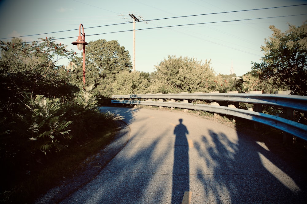 gray concrete road with traffic light