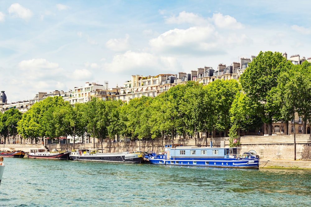 blue and white boat on body of water near green trees during daytime