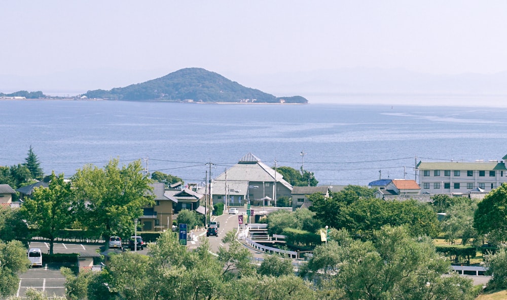 日中の水域近くの家