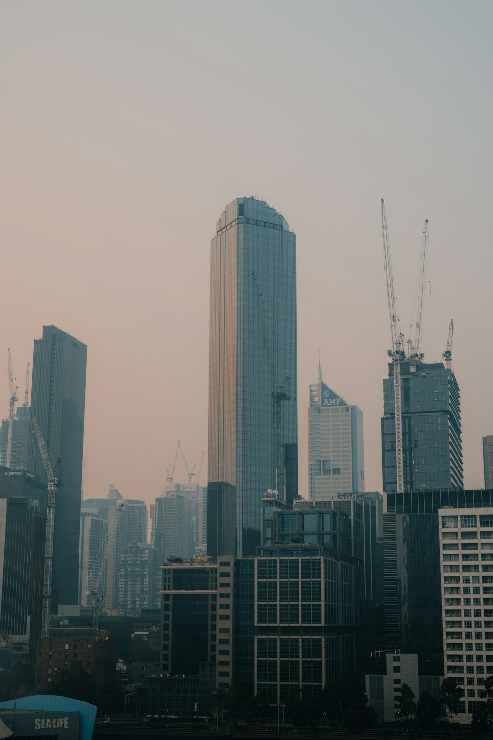 white and gray high rise buildings