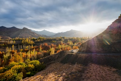 green trees on brown mountain during daytime semi-abstract google meet background