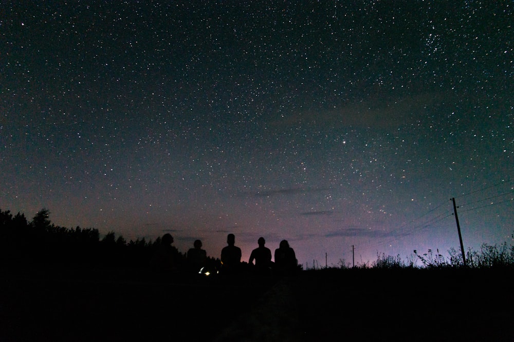 silhouette of people sitting on grass field under starry night