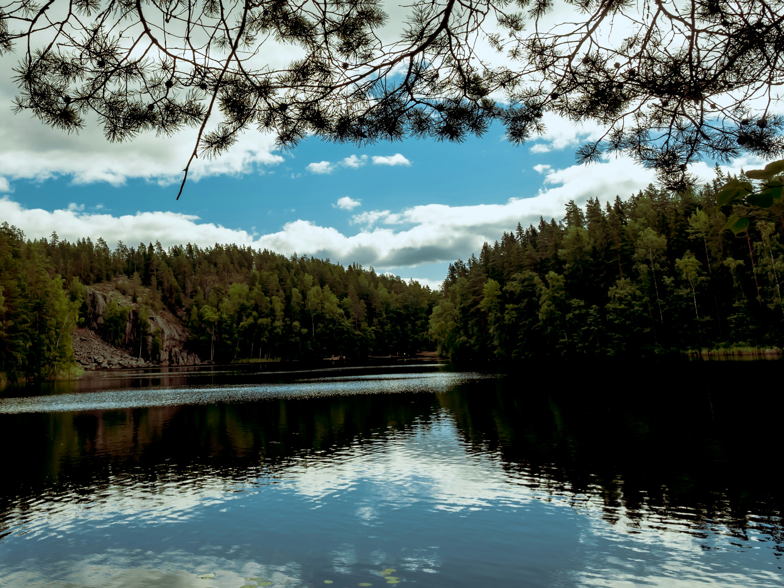 árboles verdes al lado del río bajo el cielo azul durante el día