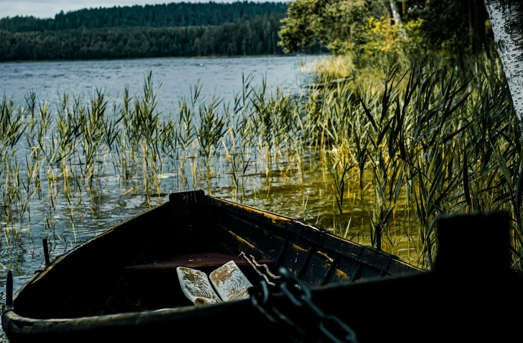 Watercraft rowing photo spot Repovesi Finland