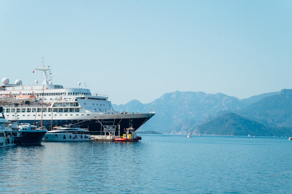 white and black cruise ship on sea during daytime