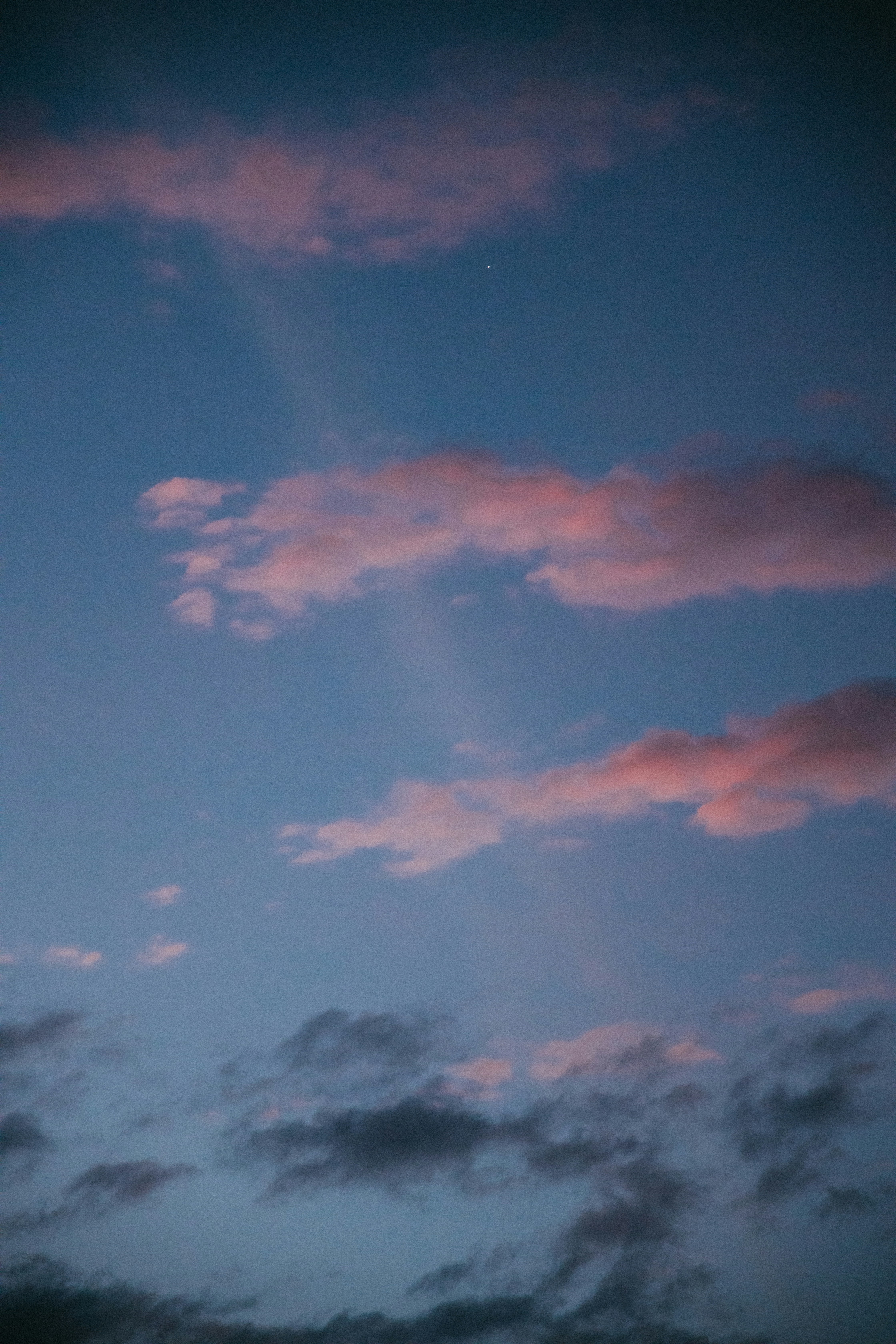 Photo by nervum