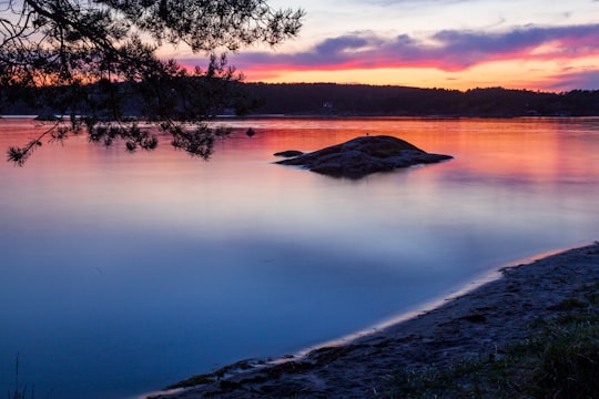 body of water near trees during sunset in Arendal Norway